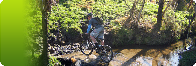www.cyclewaynewzealand.co.nz