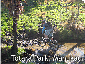 Totara Park MTB, Manukau, Auckland