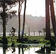 Manukau Harbour Cycleway