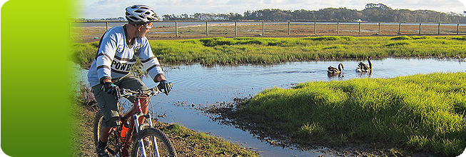 www.cyclewaynewzealand.co.nz